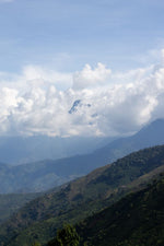 Hlaða mynd í myndaalbúm, Kólumbíu kaffi - La Reserva - þvegið - 1kg
