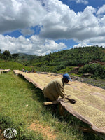 Hlaða mynd í myndaalbúm, Búrúndi kaffi  - Matongo - Þvegið - 1kg
